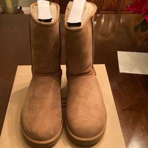 Womens UGG Classic Short ii.  Never worn.  Purchased new.  Authentic